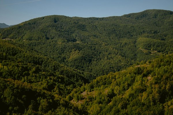 Solutions d'économie d'énergie : optimiseurs solaires pour réduire vos factures