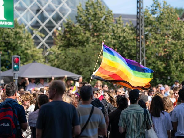 Comprendre les coûts de l'assurance chien sur lesmolossesaugrandcoeur.fr